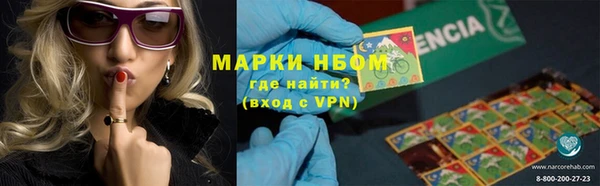 apvp Алексин