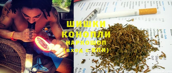 ешки Аркадак