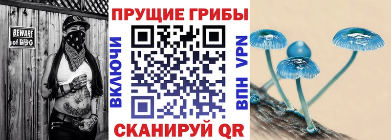Купить закладки  Тула  Галлюциногенные грибы мухоморы 